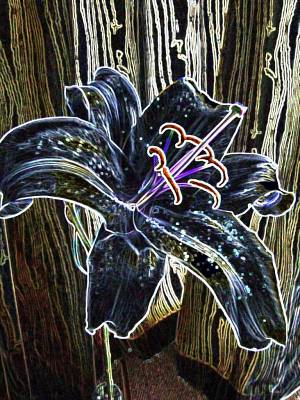 "Iris" - Print by Yvette O'Neill, an artist from Waikato, New Zealand.