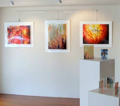 "Perspex exhibition" - Mixed Media by Yvette O'Neill, an artist from Waikato, New Zealand.